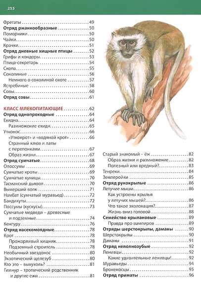 Большая энциклопедия животного мира - фото 3