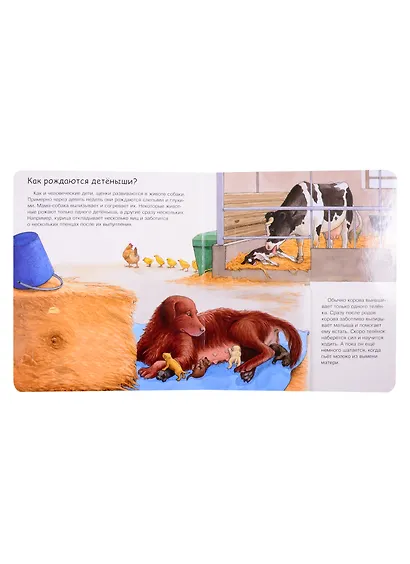 Мамы и малыши (с волшебными окошками) - фото 6