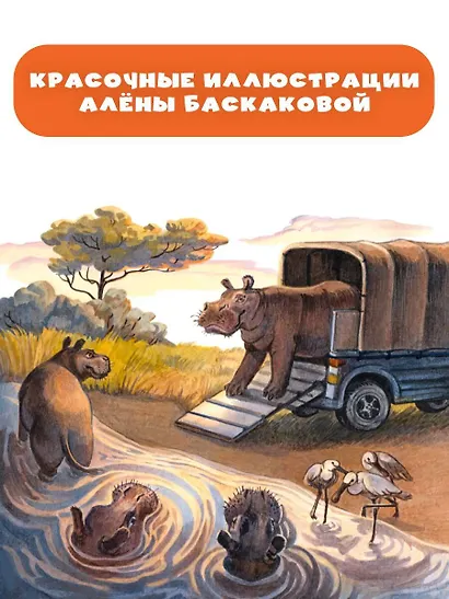 Сказки из дорожного чемодана - фото 5