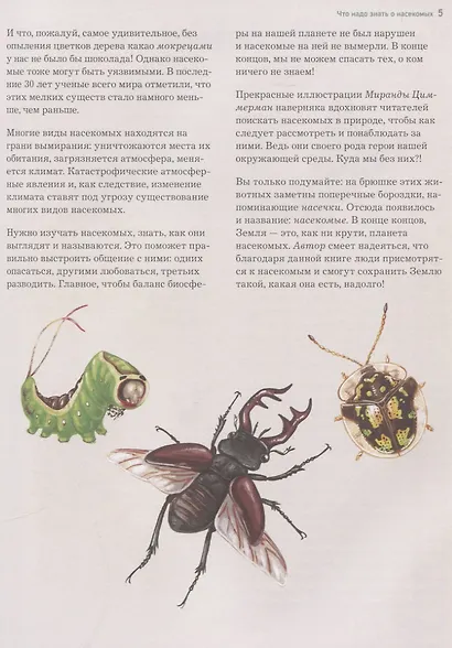 Насекомые. Лучшая энциклопедия - фото 5
