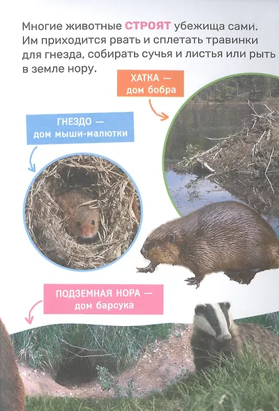 Животные - фото 7