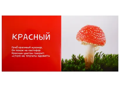 Первые слова. Я учу цвета. Фотокнига со стихами - фото 2