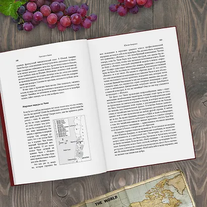 Красное и белое. Неутолимая жажда вина. - фото 6