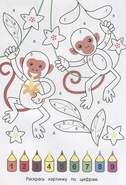 Саванна и джунгли - фото 2