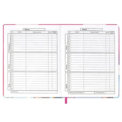 Дневник школьный Феникс+, "Полет на шаре" - фото 4