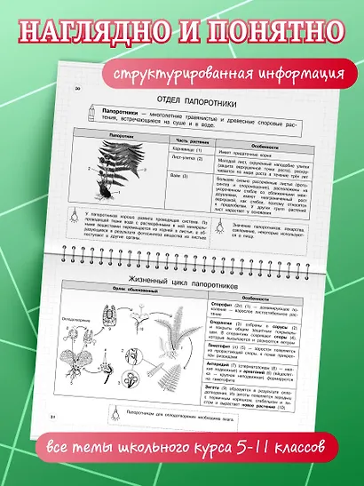Биология. 5-11 классы. Школьный курс в наглядных таблицах - фото 4