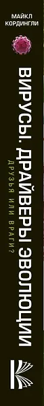 Вирусы. Драйверы эволюции. Друзья или враги? - фото 4