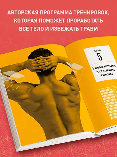 Анатомия силовых тренировок - фото 5