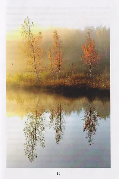 Правдивые небыли. Мишкины смешинки - фото 5