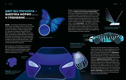 Дикие изобретения. 40 технологий, подаренных нам природой - фото 9