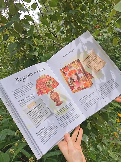 Мой гербарий. Листья деревьев(переупак) - фото 10