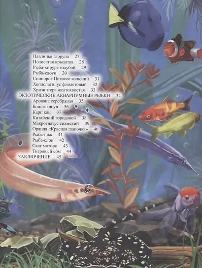 Аквариумные рыбки. Энциклопедия - фото 3