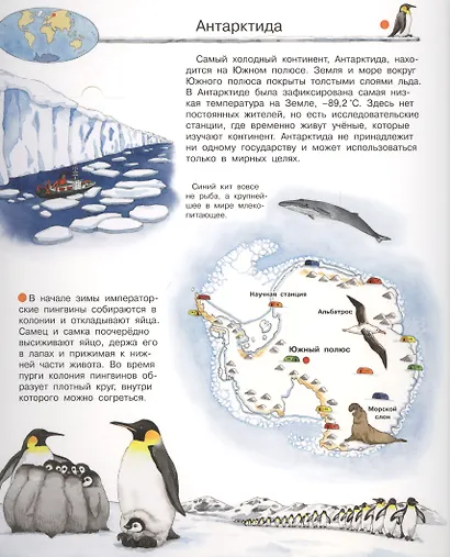 Что? Почему? Зачем? Мой первый атлас мира (с волшебными окошками) - фото 2