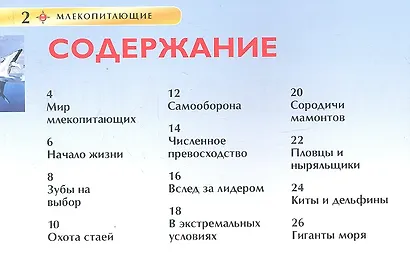 Млекопитающие - фото 2