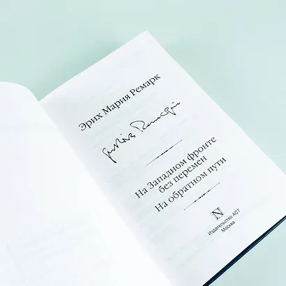 На Западном фронте без перемен. На обратном пути - фото 7