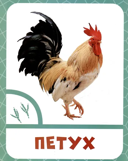 Животные фермы - фото 3