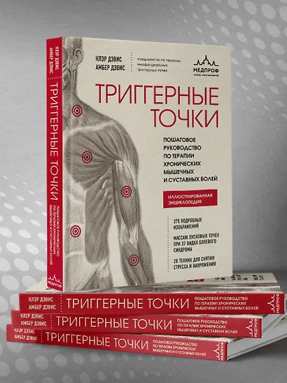 Триггерные точки. Пошаговое руководство по терапии хронических мышечных и суставных болей. Иллюстрированная энциклопедия - фото 7
