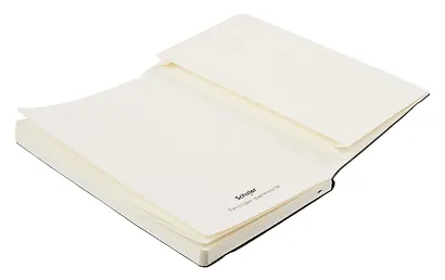 Книга для записей А5 80 листов нелинованная/в линейку, черный, Schiller - фото 10