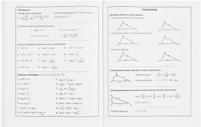 Дневник шк. "Реалист" тв.переплет, печать флуоресц.красками, мат.ламинация, пантон, универс.шпаргалка - фото 6