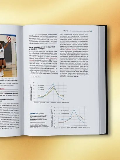 Психология спорта. Фундаментальные основы - фото 10