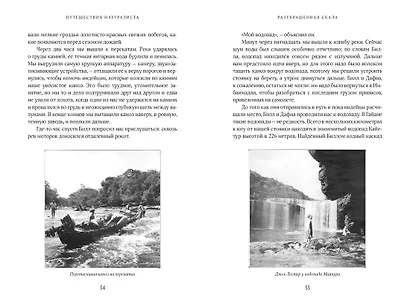 Путешествия натуралиста. Приключения с дикими животными - фото 6