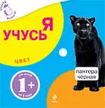 Цвет / Для детей от 1 года - фото 1