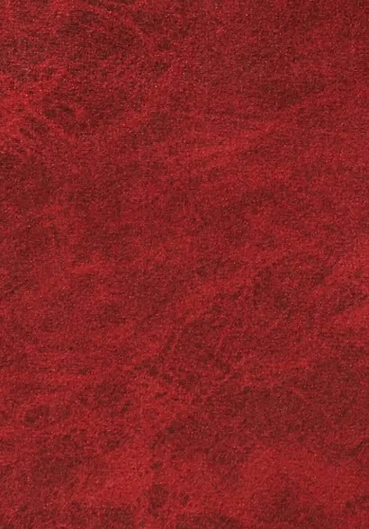 Наука побеждать - фото 2