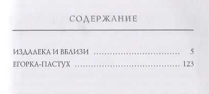 Издалека и вблизи - фото 2