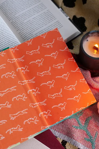 Рыжий кот Фута из кафе между мирами - фото 9