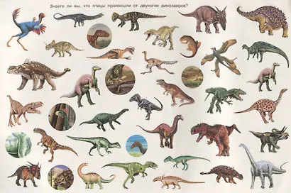 Динозавры - фото 5