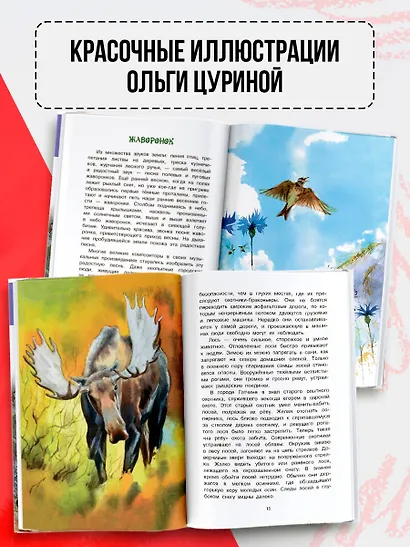 Русский лес - фото 6