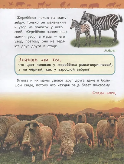 Детеныши животных - фото 5