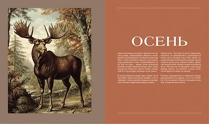 Тайная жизнь леса. Русская природа в фактах и зарисовках - фото 10