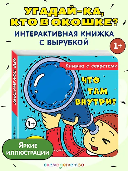 Что там внутри? - фото 4