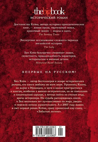 Ричард Львиное Сердце. Книга 3. Король - фото 2