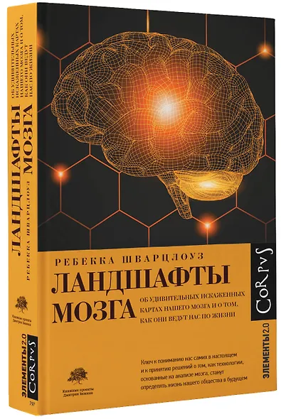 Ландшафты мозга - фото 3