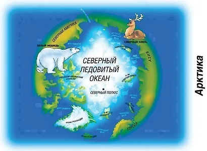 Океаны и материки. Знакомимся с основными географическими понятиями. Демонстрационный материал для занятий в группах детских садов и индивидуально - фото 2