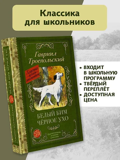 Белый Бим черное ухо - фото 4