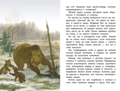 Пушок. Библиотека школьника - фото 3