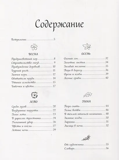 Год в лесу - фото 2