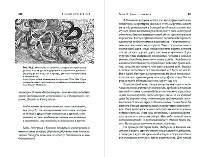 С нами или без нас: Естественная история будущего - фото 4