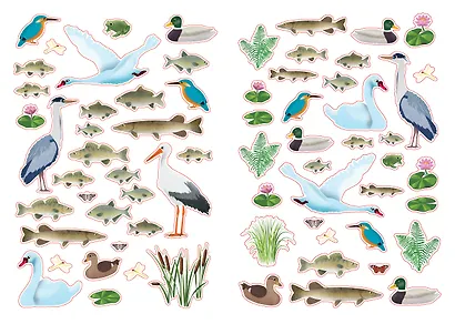 Моя книга наклеек. Природа - фото 5