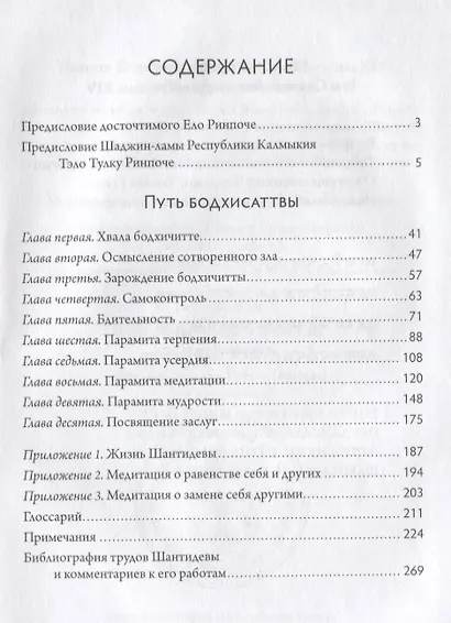 Путь бодхисаттвы (Бодхичарья-аватара)./ 2-е изд., испр. и доп. - фото 3