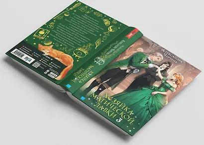 Хозяйка магической лавки. Книга 3 - фото 5