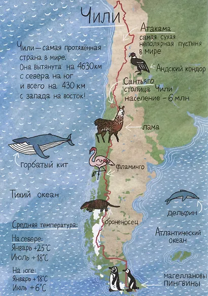 На краю света - фото 5