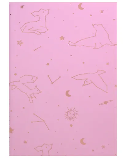 Тетрадь в линейку Wengu, "Созвездия", 40 листов, в ассортименте - фото 4