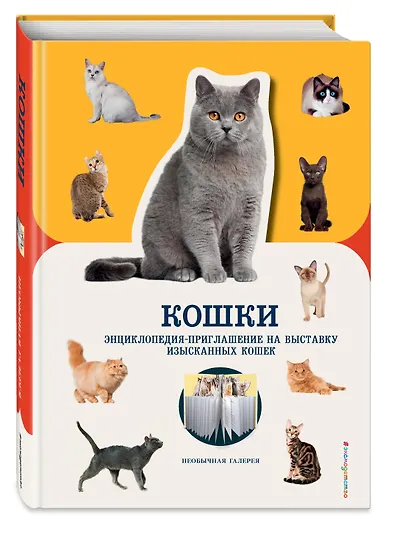 Кошки - фото 3