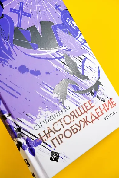 Настоящее пробуждение. Real Awakening. Книга 2 - фото 11