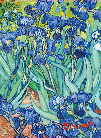 Обложка пластиковая универсальная. Ван Гог. Ирисы (маленький формат) - фото 1