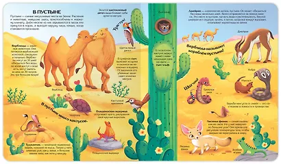 Мир животных. Книжка с окошками - фото 4